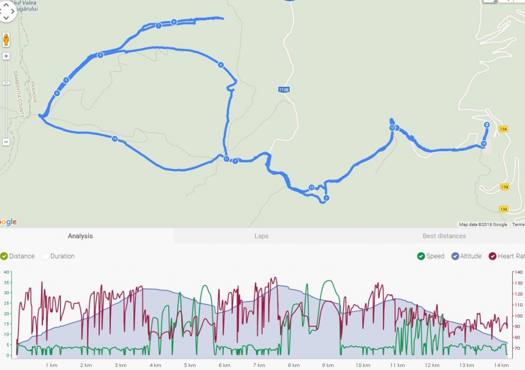 garminp1