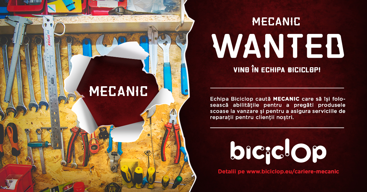 banner_fb_recrutare_mecanic_atelier