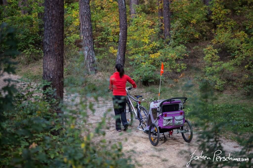 Remorci de bicicleta pentru copii 04