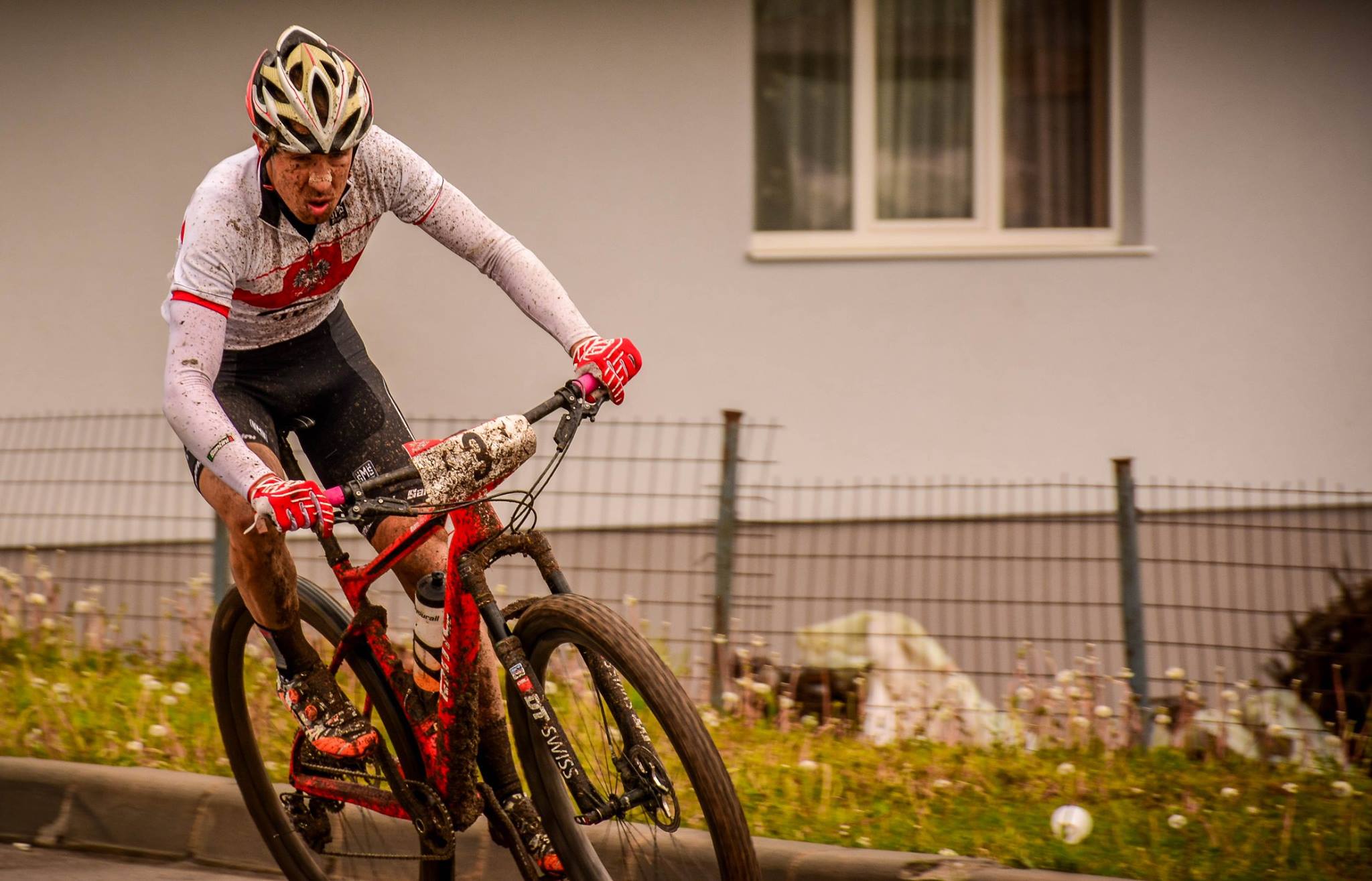 13002437_555060961341578_3750723963046365852_o