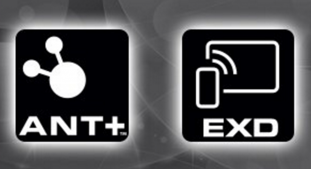 ANT-EXD