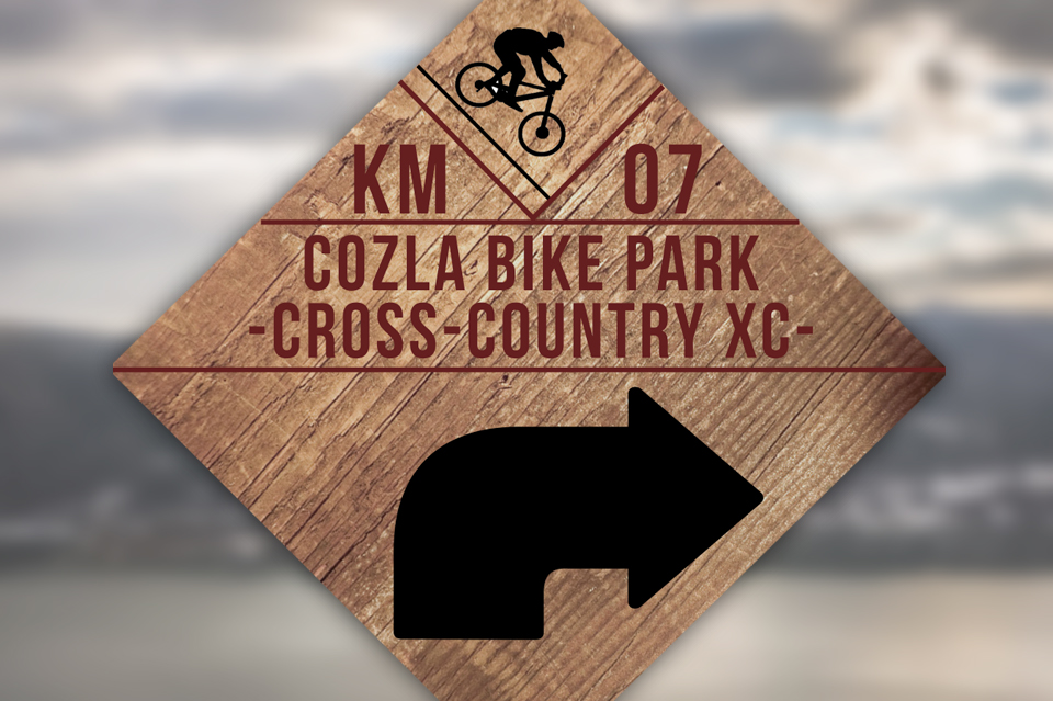 Bike Park Cozla 06