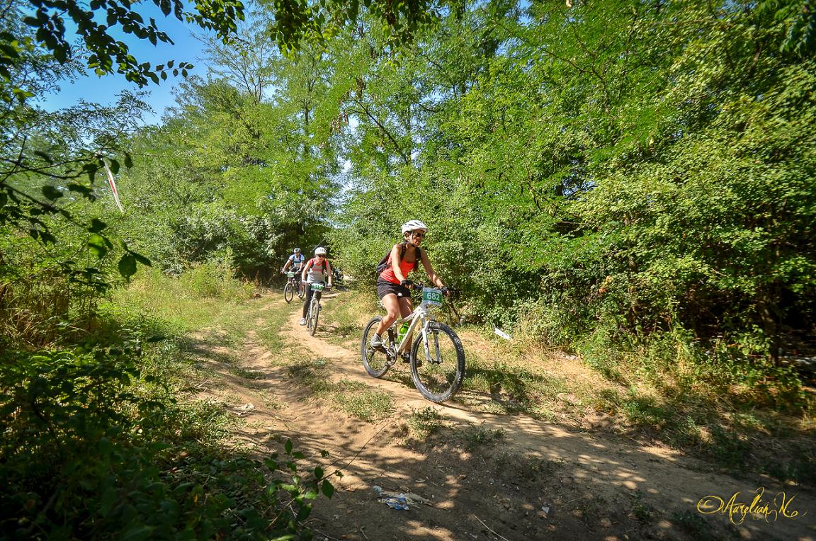 RoC_Dumbrava cu Margaritar_foto Aurelian Nedelcu 3