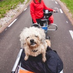 pe tandem Andrei Melinte Laura Baban 12