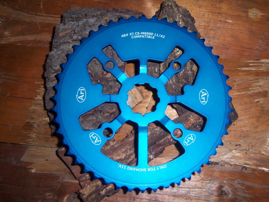 pinion ari 48t shimano xt m8000 01