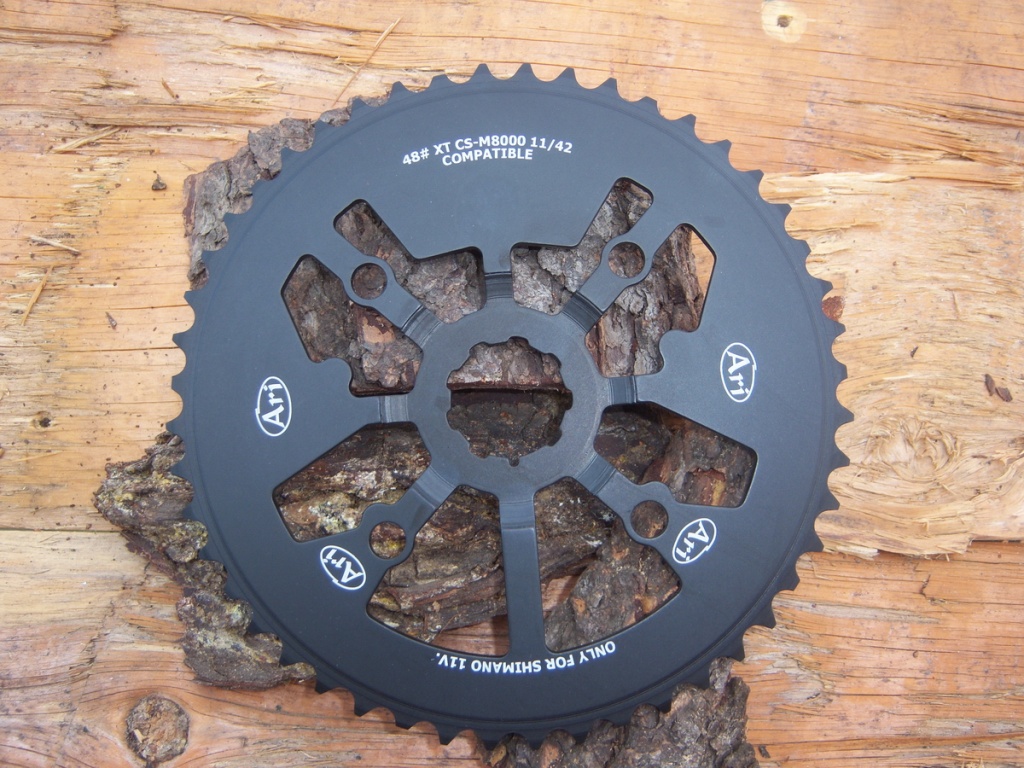 pinion ari 48t shimano xt m8000 02