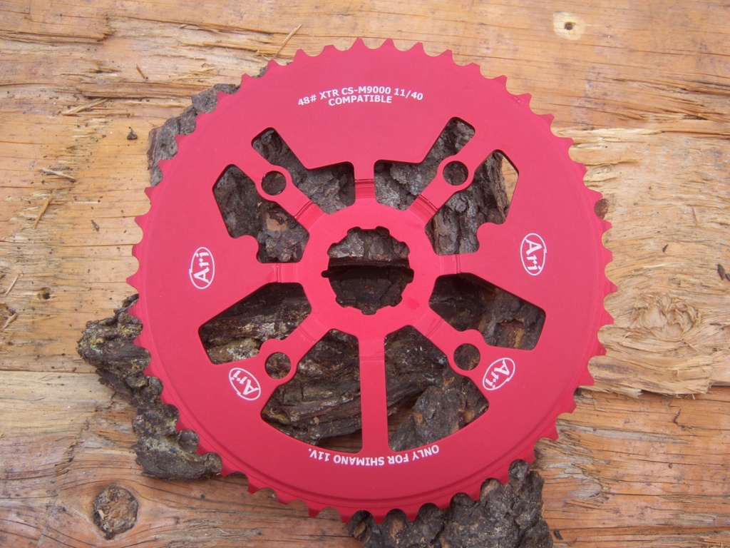 pinion ari 48t shimano xtr cs-m9000