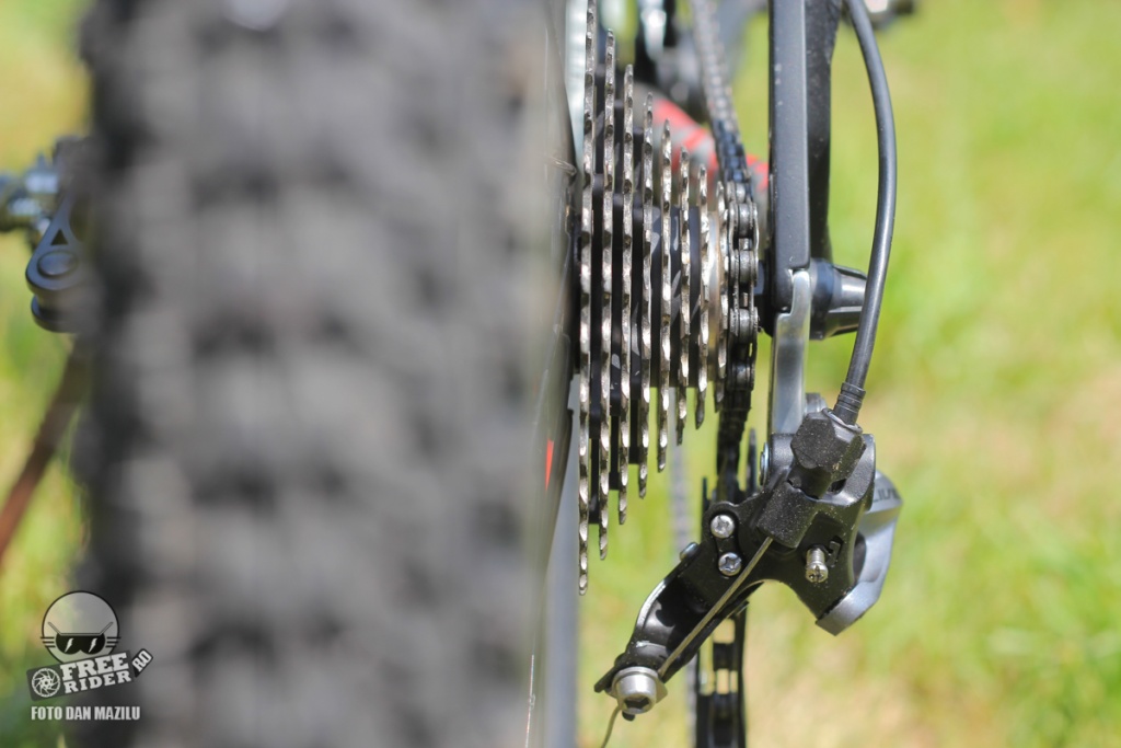 review recenzie test Silverback Spectra Comp 14