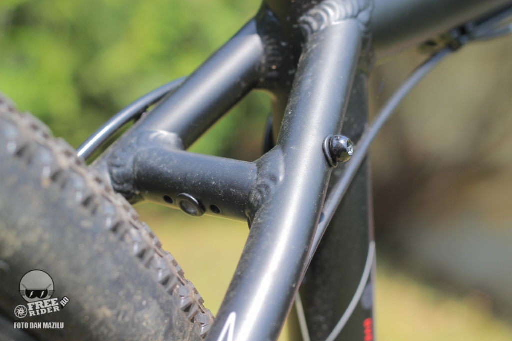 review recenzie test Silverback Spectra Comp 15