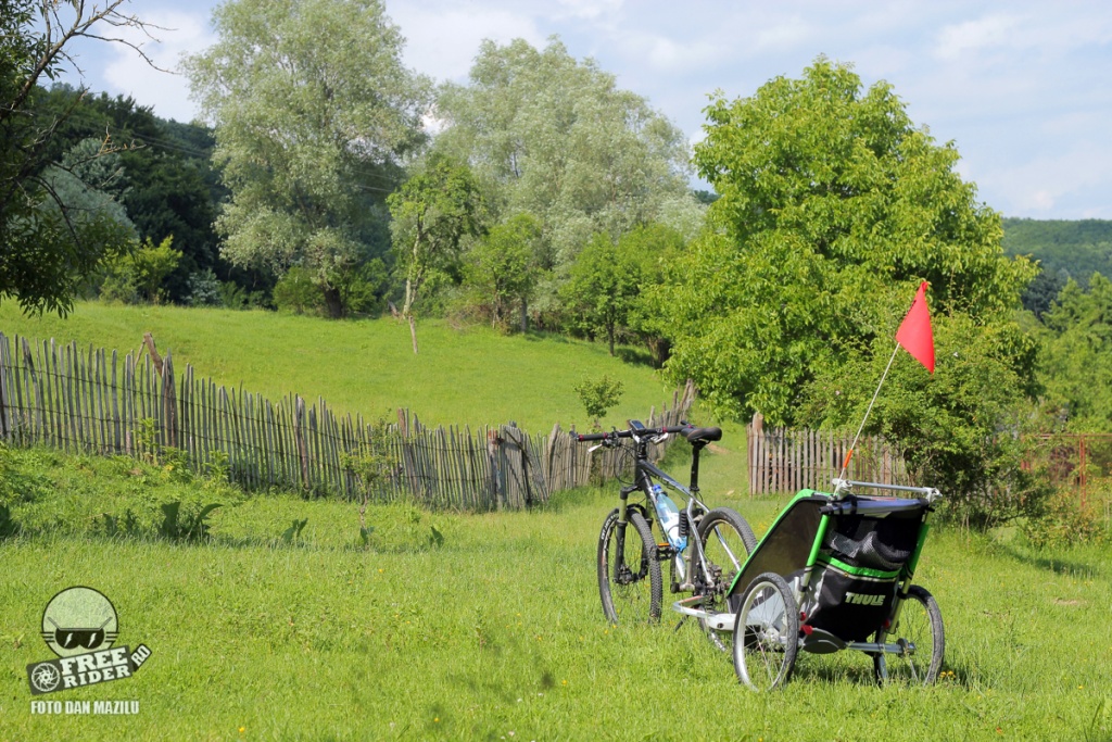 review recenzie test remorca bicicleta Thule Chariot Cheetah 1 02