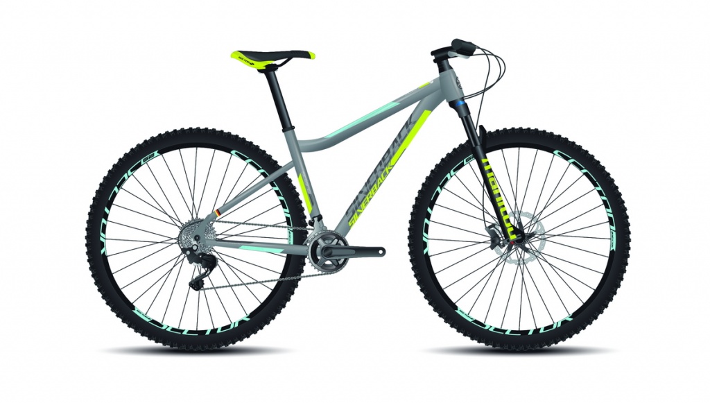 silverback SOLANA 2017