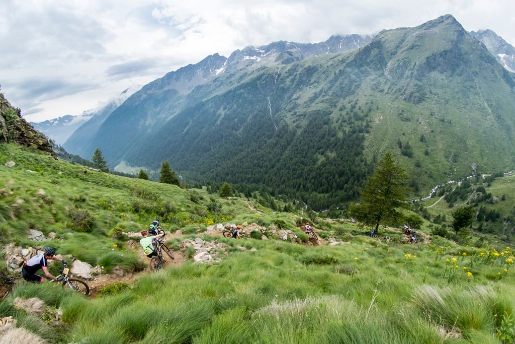 csm__T4I2349_d0c428afcb