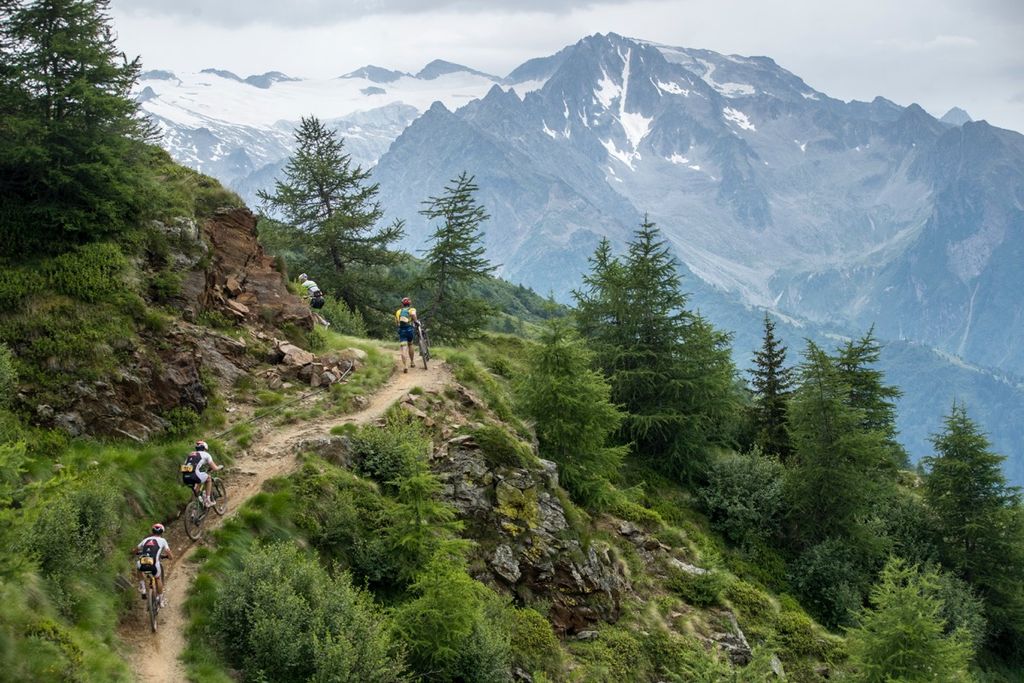 csm__T4I3565_c6ac45179d