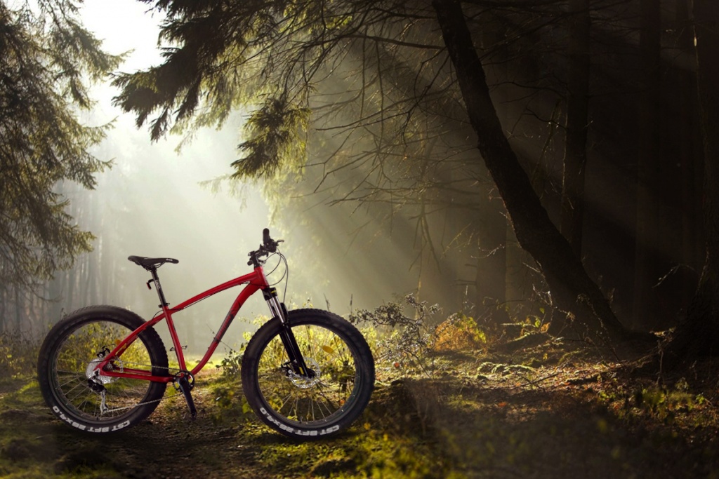 fat bike mtb pegas suprem 01