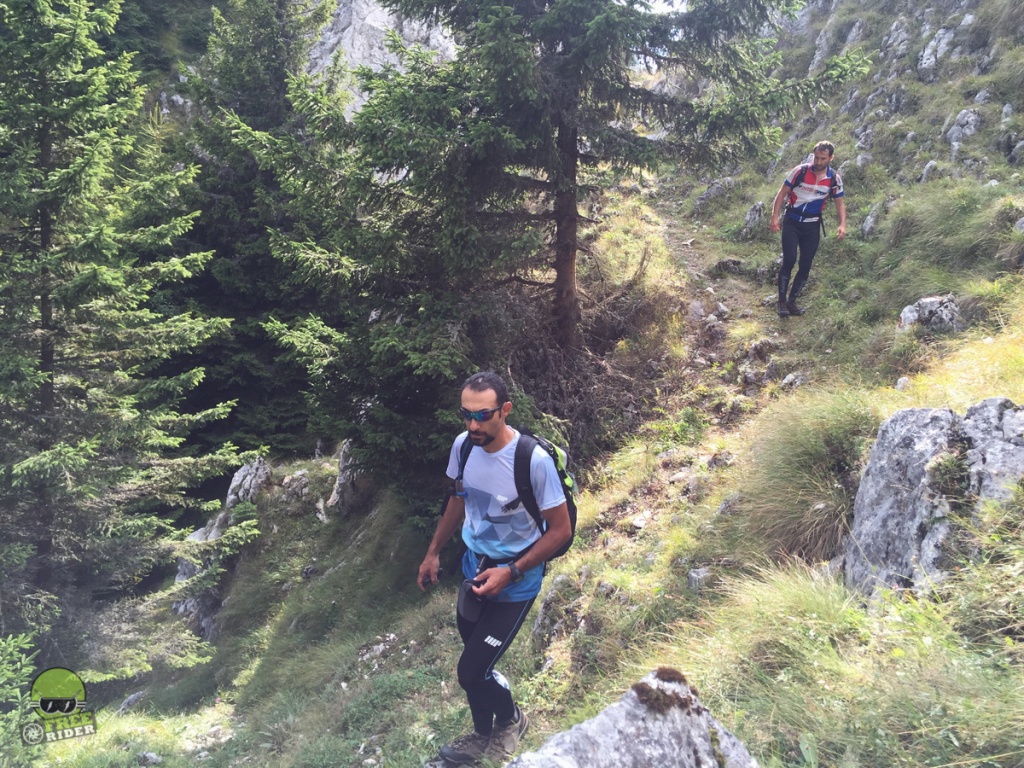 propark 2016 foto dan mazilu 01