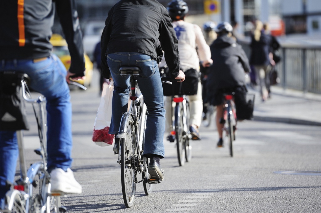 Bikes in traffic