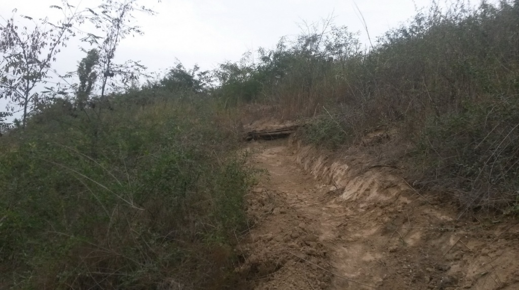 Filofteia XC galati 04
