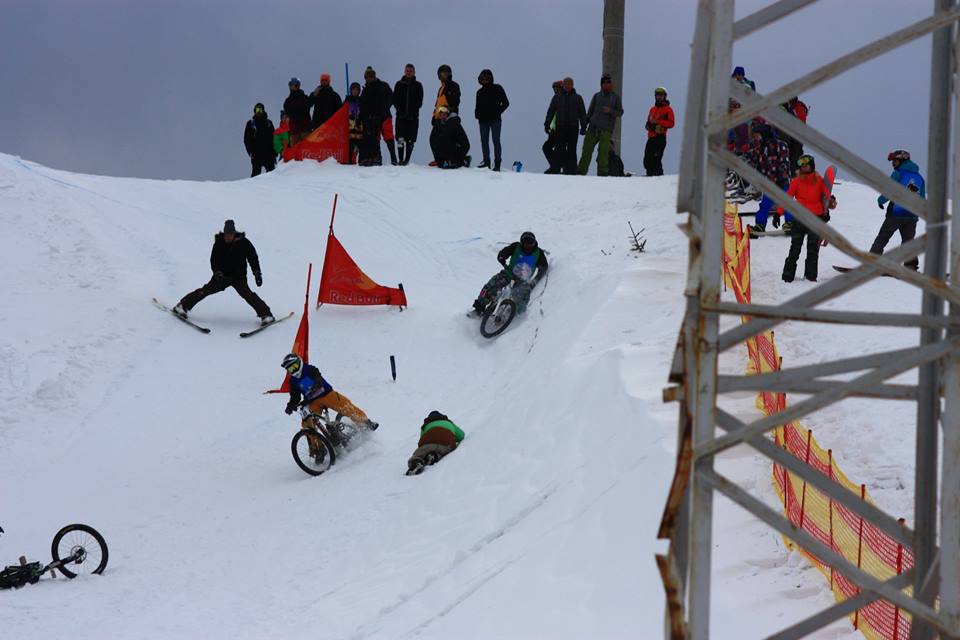 arpad-kelemen-4x-2